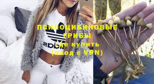 МДПВ Покров