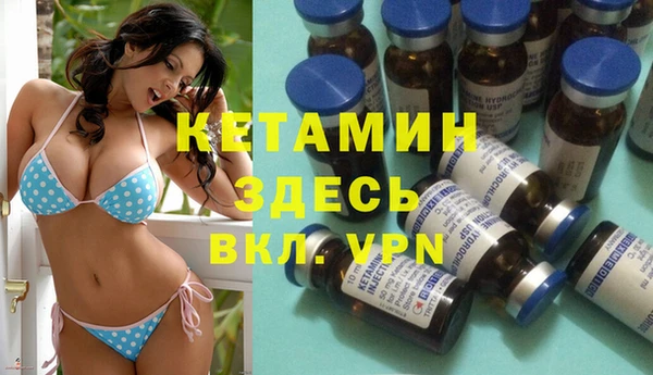 шишки Пестово