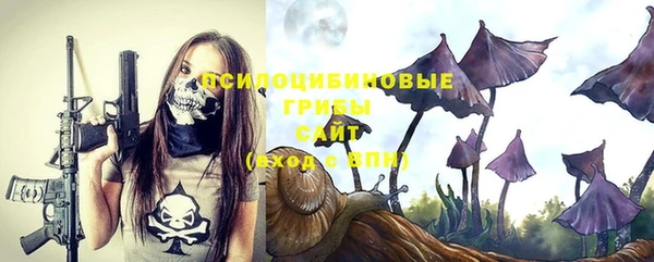 ГАЛЛЮЦИНОГЕННЫЕ ГРИБЫ Покачи