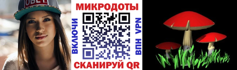 ОМГ ОМГ ONION  Закаменск  Галлюциногенные грибы Magic Shrooms 